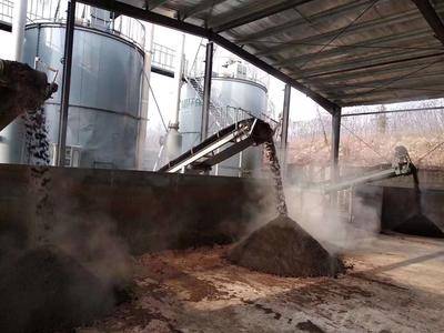養(yǎng)殖廠豬糞如何處理？前期投入大不大？一篇文章為您答疑解惑